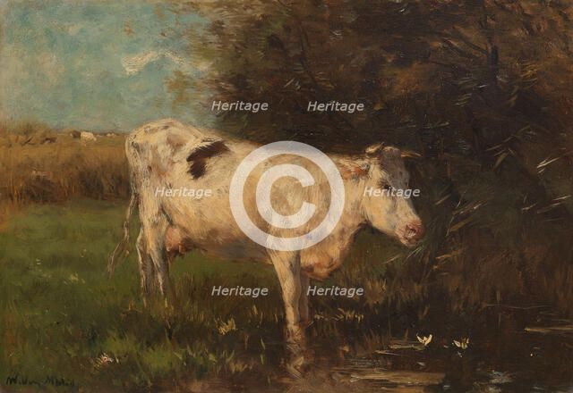White Cow, c.1880-c.1910. Creator: Willem Maris.