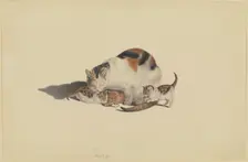 White cat, black and reddish-brown spotted, with her three kittens playing with a mouse, 18th cent. Creator: Gottfried Mind