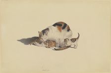 White cat, black and reddish-brown spotted, with her three kittens playing with a mouse, 18th cent. Creator: Gottfried Mind