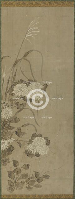 White chrysanthemums and grasses, Edo period, 1615-1868. Creator: Unknown.