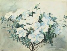 White Azaleas, ex.1909. Creator: Francis Edward James