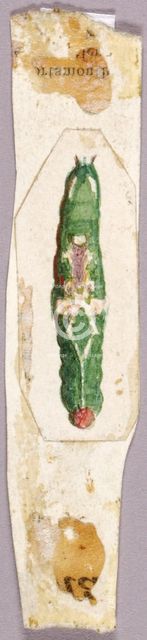 White Birch Leaf Edge Caterpillar, study for book Concealing Coloration in the Animal Kingdom. Creator: Abbott Handerson Thayer.