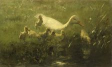 White duck and ducklings, 1880-1910. Creator: Willem Maris