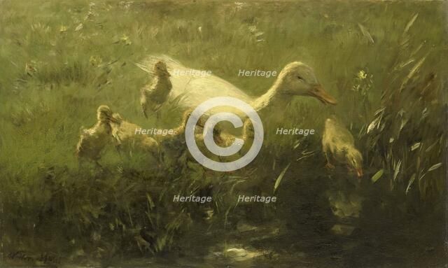 White duck and ducklings, 1880-1910.  Creator: Willem Maris.