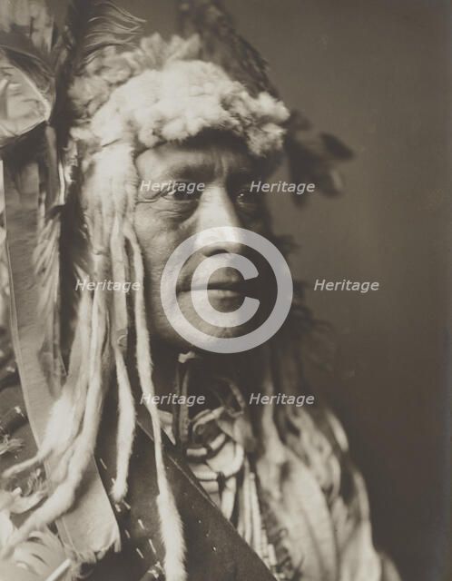 White Duck, c1908. Creator: Edward Sheriff Curtis.