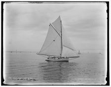 White Fawn, 1888 June 18. Creator: Unknown