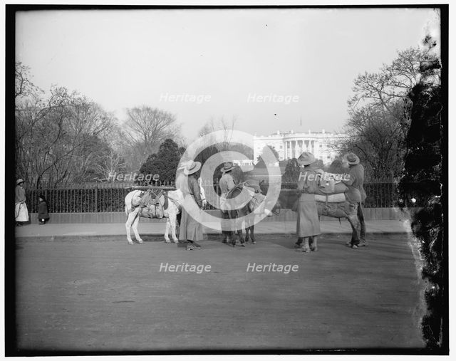 White House, between 1910 and 1920. Creator: Harris & Ewing.