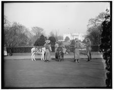 White House, between 1910 and 1920. Creator: Harris & Ewing