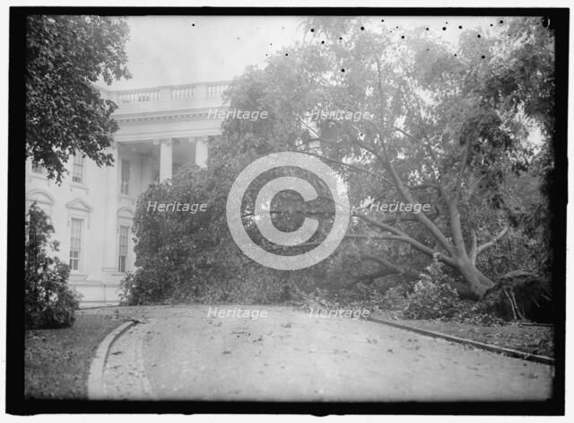 White House - storm damage, between 1913 and 1918. Creator: Harris & Ewing.