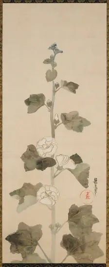 White hollyhocks, Edo period, late 17th-early 18th century. Creator: Ogata Korin
