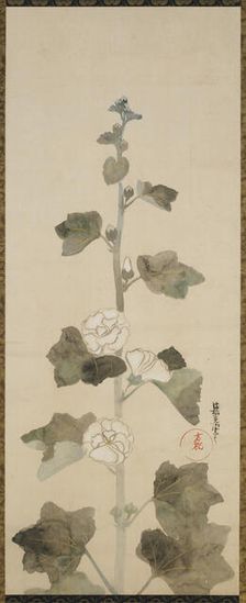 White hollyhocks, Edo period, late 17th-early 18th century. Creator: Ogata Korin