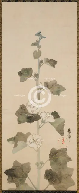 White hollyhocks, Edo period, late 17th-early 18th century. Creator: Ogata Korin.