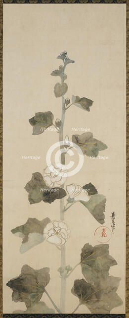 White hollyhocks, Edo period, late 17th-early 18th century. Creator: Ogata Korin.