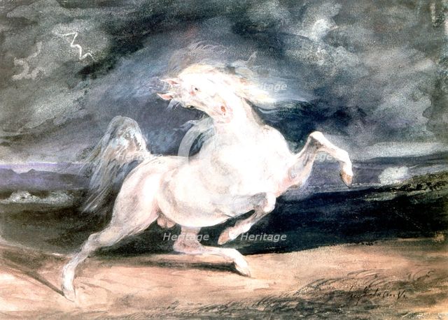'White Horse', 19th century. Artist: Eugène Delacroix