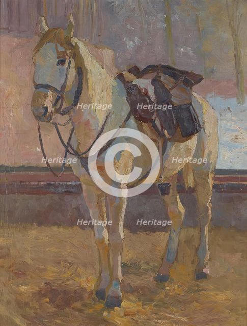 White horse under the saddle, 1897. Creator: Victor Eckhardt von Eckhardsburg.
