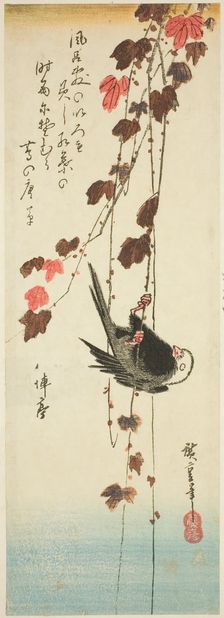 White-headed bird and ivy, mid-1830s. Creator: Ando Hiroshige