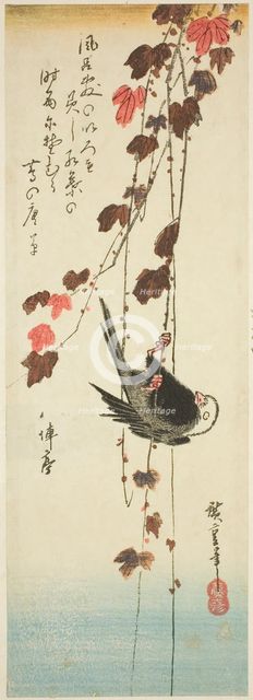 White-headed bird and ivy, mid-1830s. Creator: Ando Hiroshige.