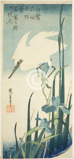 White heron and iris, c. 1832/34. Creator: Ando Hiroshige.