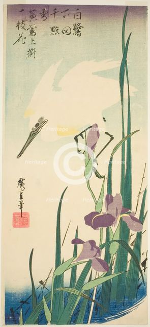 White heron and iris, c. 1832/34. Creator: Ando Hiroshige.
