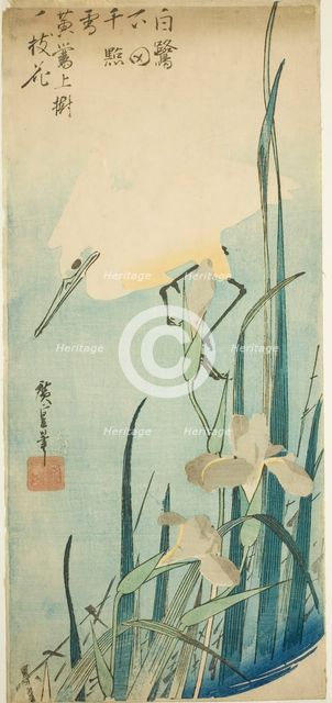 White heron and iris, c. 1832/34. Creator: Ando Hiroshige.