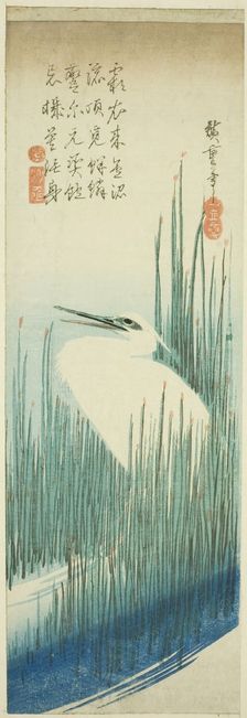White heron and rushes, 1830s. Creator: Ando Hiroshige