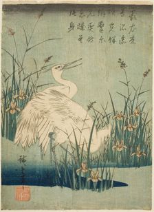 White herons and iris, c. 1830s. Creator: Ando Hiroshige