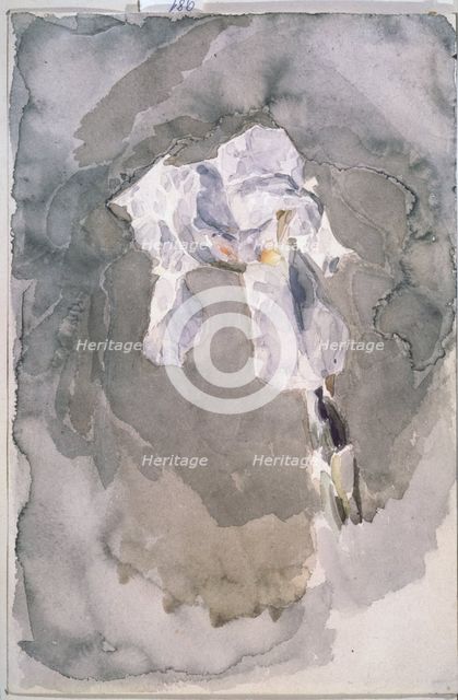 White iris. Artist: Vrubel, Mikhail Alexandrovich (1856-1910)