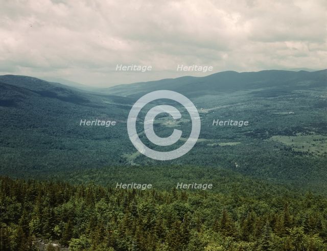White Mountains National Forest, New Hampshire, 1943. Creator: John Collier.