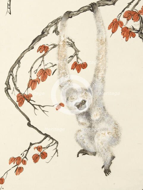 White monkey, 1937. Creator: Zhang Shanzi.