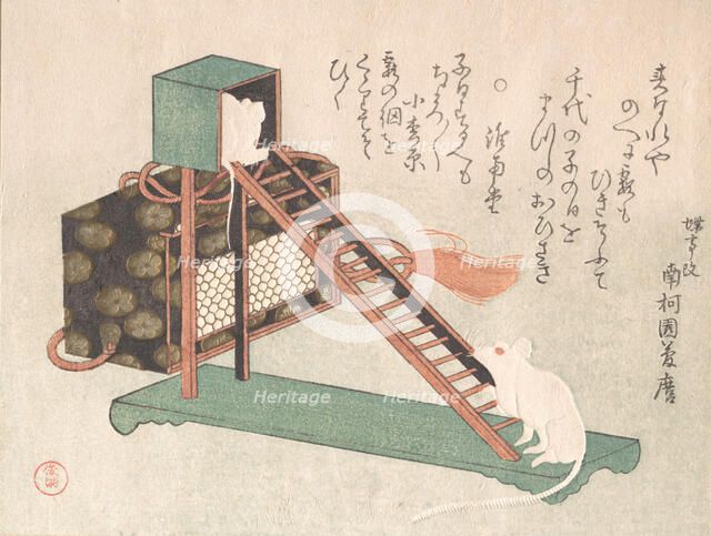 White Mice Playing, probably 1816. Creator: Kubo Shunman.
