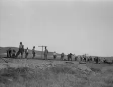 White section gang near King City, California, 1937. Creator: Dorothea Lange