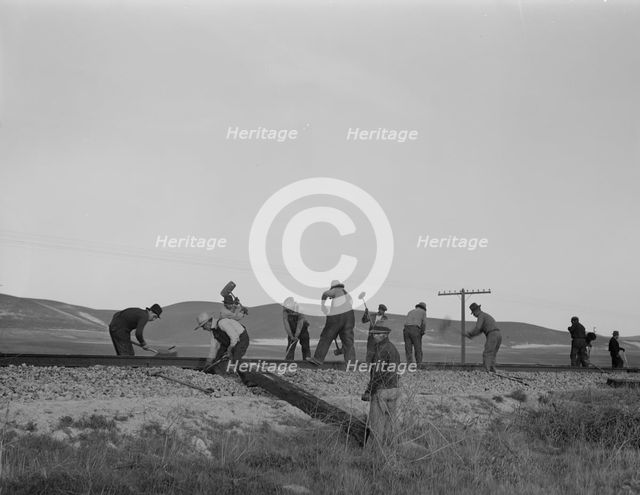 White section gang near King City, California, 1937. Creator: Dorothea Lange.