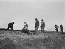 White section gang near King City, California, 1937. Creator: Dorothea Lange