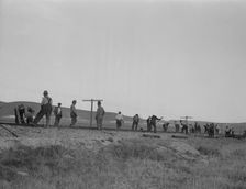 White section gang near King City, California, 1937. Creator: Dorothea Lange