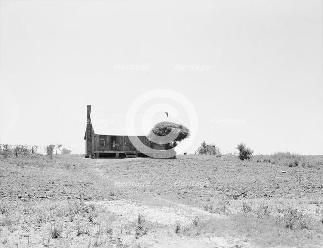 White sharecropper's home, near Cleveland, Mississippi, 1937. Creator: Dorothea Lange.