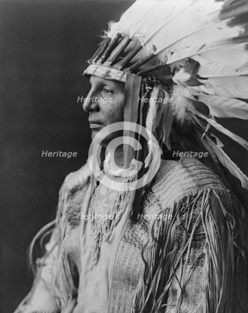 White Shield-Arikara, c1908. Creator: Edward Sheriff Curtis.