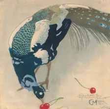 White-Spotted Peacock, 1906