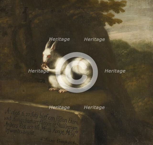 White Squirrel in a Landscape, 1697. Creator: David Klocker Ehrenstrahl.