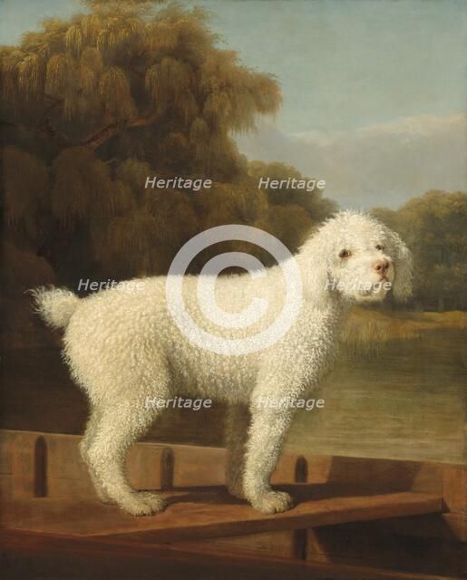 White Poodle in a Punt, c. 1780. Creator: George Stubbs.