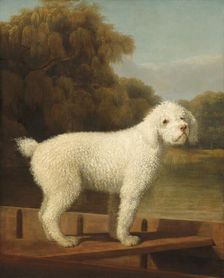 White Poodle in a Punt, c. 1780. Creator: George Stubbs