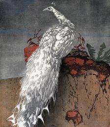 White peacock, 1910. Creator: Hans Frank