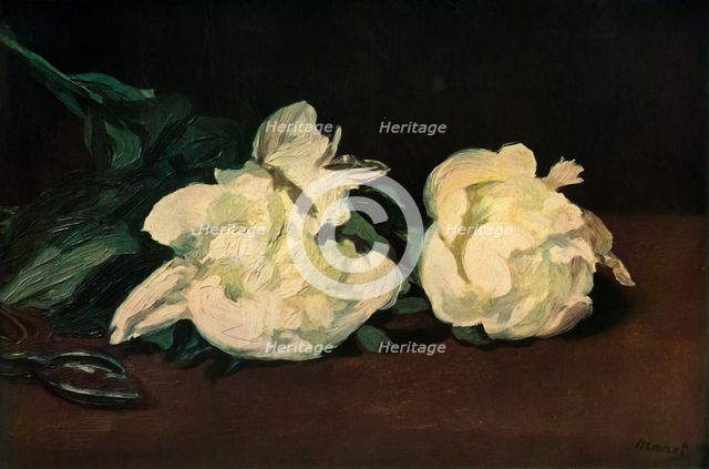 'White Peonies', 1864, (1937). Creator: Edouard Manet.