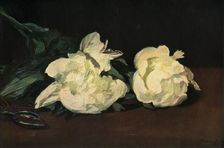 White Peonies 1864, (1937). Creator: Edouard Manet
