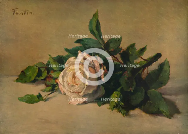 'White Rose', c1863, (1938). Artist: Henri Fantin-Latour.
