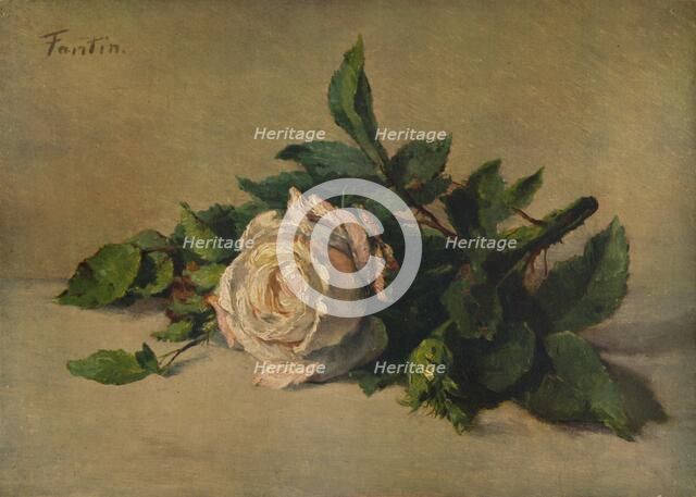 'White Rose', c1863, (1938). Artist: Henri Fantin-Latour.