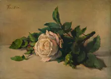 White Rose c1863, (1938). Artist: Henri Fantin-Latour