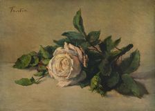 White Rose c1863, (1938). Artist: Henri Fantin-Latour