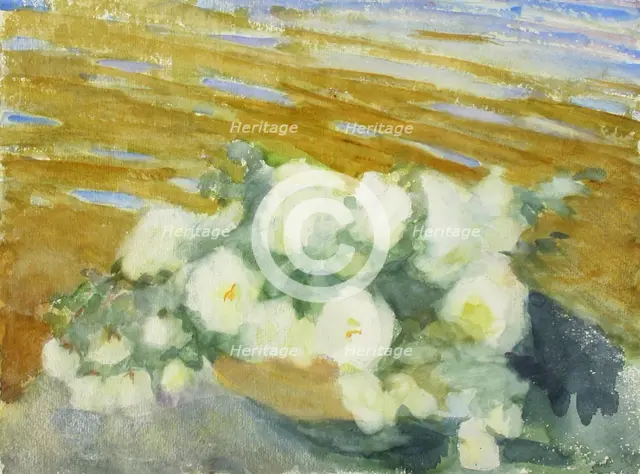 White roses in a vase. Creator: Maria Wiik.