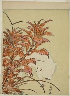 White Rabbit and Amaranth, c. 1771. Creator: Isoda Koryusai
