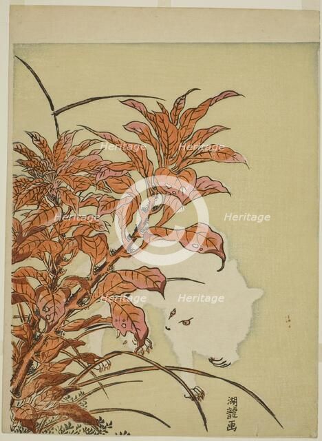 White Rabbit and Amaranth, c. 1771. Creator: Isoda Koryusai.